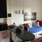 Rent 1 bedroom apartment of 40 m² in Monza