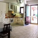 Rent 2 bedroom apartment of 45 m² in Morrovalle