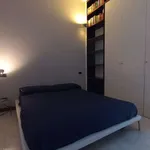 Rent 1 bedroom apartment in milan