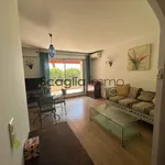 Appartement de 53 m² avec 2 chambre(s) en location à Ajaccio