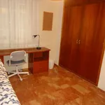 Rent a room of 100 m² in cordoba