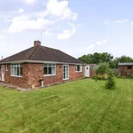 Bungalow to rent in Lealands Avenue, Leigh, Tonbridge TN11