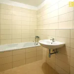 Rent 2 bedroom apartment of 69 m² in České Budějovice