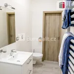 Rent 2 bedroom apartment of 30 m² in Luhačovice