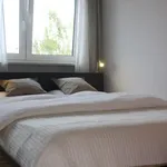 Rent 1 bedroom apartment of 29 m² in Munich