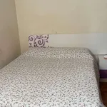 Rent a room in madrid