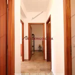 Rent 4 bedroom house of 105 m² in Santa Flavia