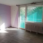 Rent 1 bedroom apartment of 45 m² in Brno