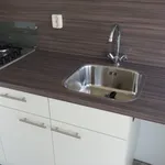 Rent 2 bedroom apartment of 55 m² in Hengelo