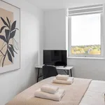 Rent 1 bedroom flat in London