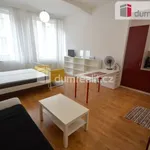 Rent 1 bedroom apartment in Capital City of Prague