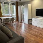 Rent 2 bedroom apartment of 38 m² in Lodz