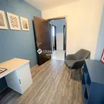 Rent 4 bedroom house of 907 m² in Budapest