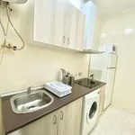 Rent 1 bedroom apartment in Madrid