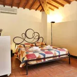 Rent 1 bedroom apartment of 35 m² in Florence