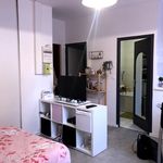 Rent 1 bedroom apartment of 24 m² in REIMS