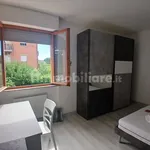 Rent 4 bedroom apartment of 100 m² in Perugia