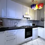 Rent 3 bedroom apartment of 70 m² in Rosignano Marittimo