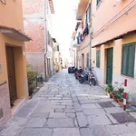 Rent 2 bedroom apartment of 40 m² in Monte Argentario