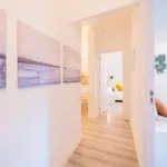 Rent 5 bedroom apartment in Valencia