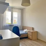 Rent 3 bedroom apartment of 50 m² in Lublin