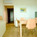 Rent 2 bedroom apartment of 60 m² in Civitanova Marche