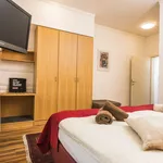 Miete 1 Schlafzimmer wohnung in Vienna