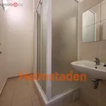 Rent 2 bedroom apartment of 40 m² in Trhový Štěpánov