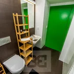 Rent 1 bedroom house in Praha 2