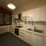 Rent 5 bedroom apartment of 120 m² in Treviso