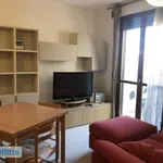 Rent 2 bedroom apartment of 50 m² in Florence