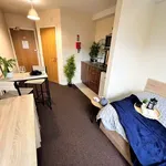 Rent 1 bedroom apartment in Preston