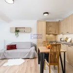 Rent 1 bedroom apartment of 28 m² in Krakow