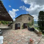 Rent 9 bedroom apartment of 250 m² in Cortona