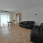 Rent 3 bedroom apartment of 80 m² in Trento