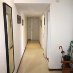 Rent 1 bedroom apartment of 100 m² in genova