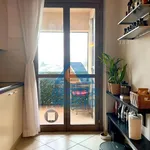 Rent 2 bedroom apartment of 50 m² in Florence