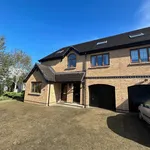 Rent 4 bedroom flat in Banbridge