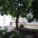 Rent 2 bedroom house of 100 m² in Villaricca