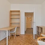 Rent 2 bedroom apartment in Brno