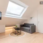 Rent 1 bedroom apartment of 40 m² in Lille