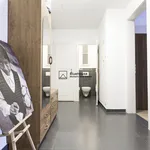 Rent 1 bedroom apartment of 61 m² in Prague