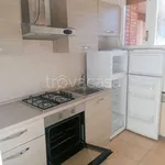 Rent 4 bedroom apartment of 85 m² in Bologna