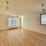 Rent 2 bedroom apartment of 49 m² in Kralupy nad Vltavou