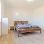 Pronajměte si 1 ložnic/e dům o rozloze 210 m² v Veselí nad Lužnicí