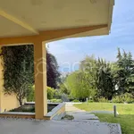 Rent 2 bedroom apartment of 50 m² in Torino