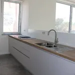 Rent 1 bedroom apartment in BREENDONK