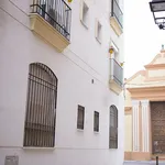 Rent 1 bedroom apartment of 55 m² in Málaga