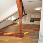 Rent 1 bedroom apartment of 56 m² in Brno