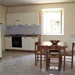 Rent 3 bedroom apartment of 75 m² in Roma